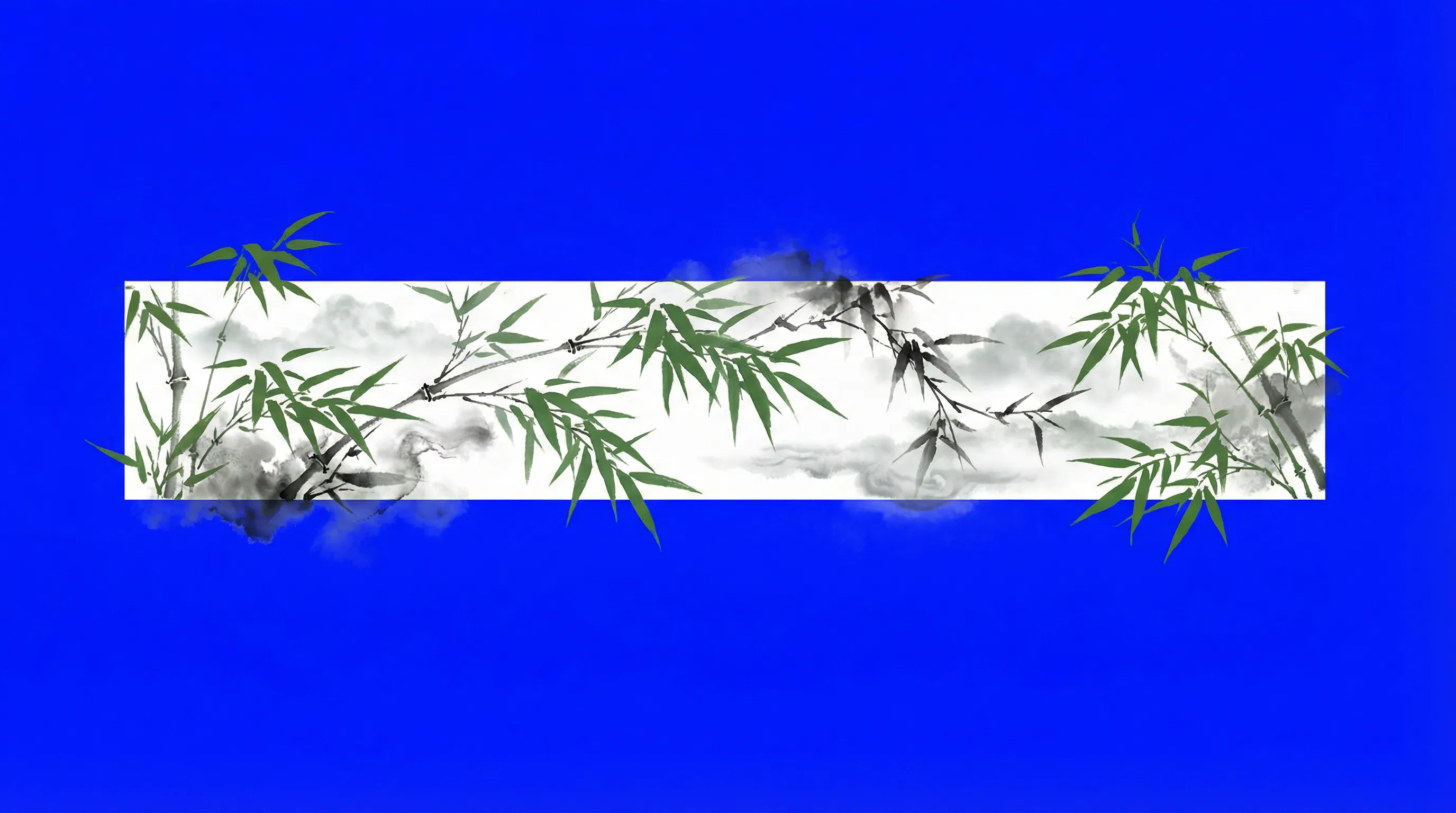 体育星空藤球页面背景